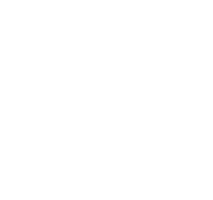 Everett's Old School Cycle
